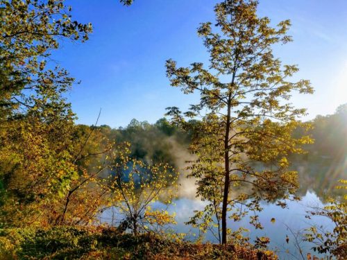 A serene lake surrounded by trees, with morning mist rising and a clear blue sky above.