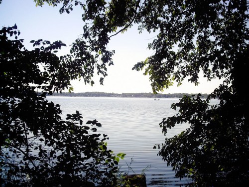A serene lake view framed by lush green leaves, with gentle ripples on the water's surface under a clear sky.