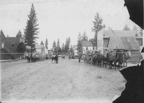 Black and white photo of a dirt street lined with horses and buildings, surrounded by trees.