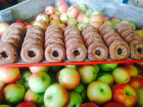 A tray of cinnamon sugar donuts placed on a bed of fresh apples.