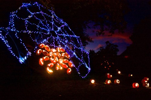 A spooky scene with glowing jack-o'-lanterns and a web of blue lights against a twilight sky.
