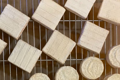 A variety of cheese rounds and squares cooling on a wire rack.