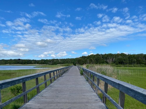A wooden boardwalk stretches through a lush green landscape under a blue sky with scattered clouds.