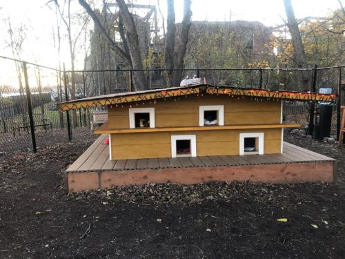 A large, colorful dog house with multiple openings, situated in a fenced outdoor area surrounded by trees.