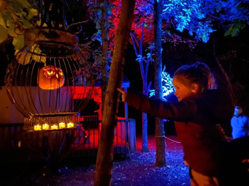 A child points at a glowing pumpkin inside a cage, surrounded by colorful lights in a dark forest setting.