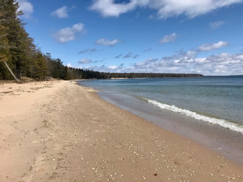 A sandy beach with gentle waves, surrounded by trees under a partly cloudy blue sky.