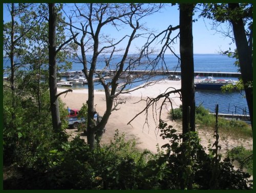 A serene beach view framed by trees, with boats docked and calm waters in the background.
