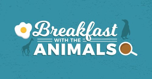 Text graphic featuring "Breakfast with the Animals" with an egg, coffee cup, giraffe, and penguin illustrations.