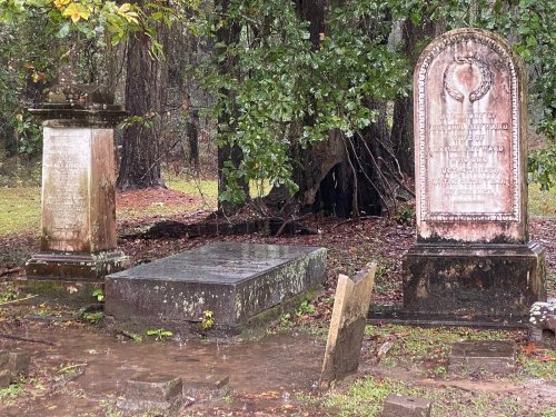 Two weathered gravestones in a rain-soaked cemetery, surrounded by trees and overgrown grass.