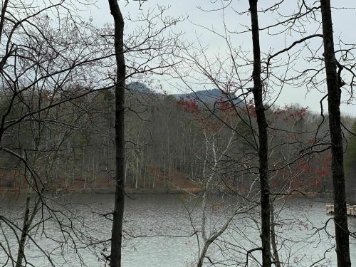 A serene lake surrounded by bare trees and distant hills under a cloudy sky.