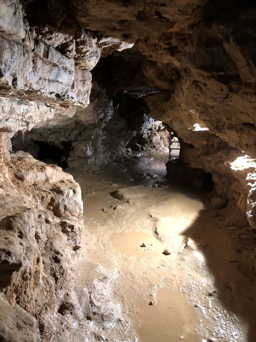 A dimly lit cave interior with rocky walls and a muddy floor, featuring two openings in the distance.