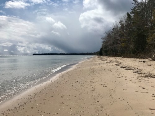 A serene beach with soft sand, gentle waves, and a cloudy sky, lined by trees in the distance.