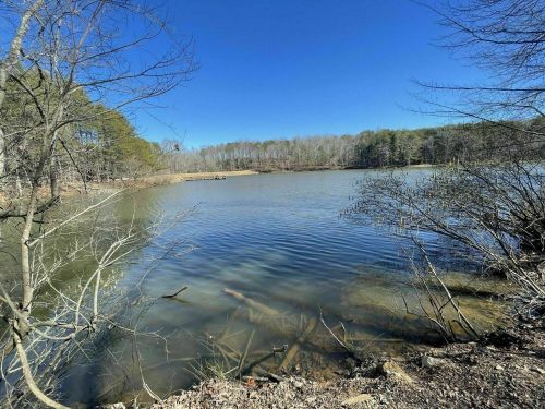 A serene lake surrounded by bare trees and greenery under a clear blue sky.