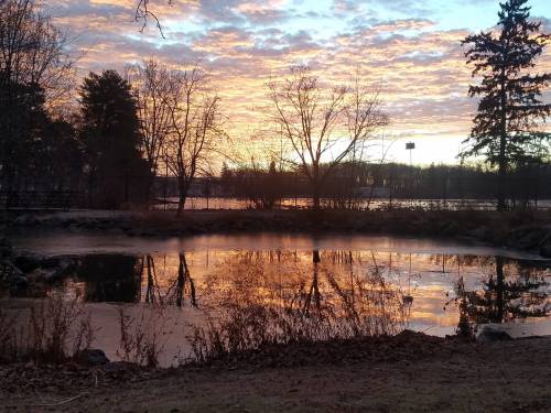 Sunset over a calm pond, with trees reflecting in the water and colorful clouds in the sky.