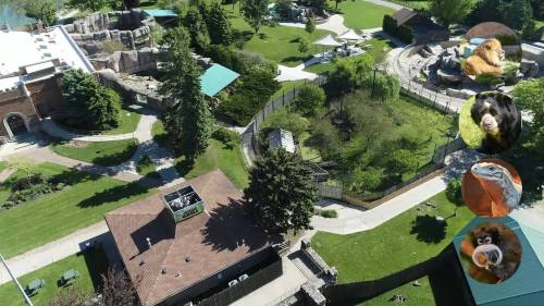Aerial view of a zoo featuring enclosures, green spaces, and pathways surrounded by trees and buildings.