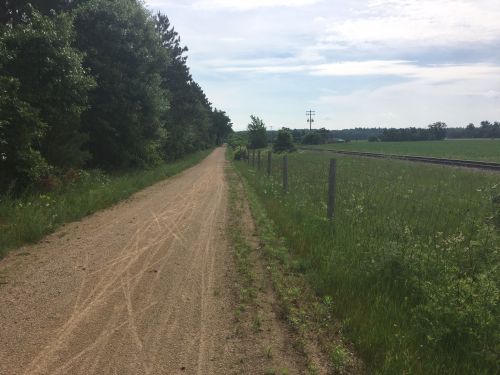 A gravel path lined with trees and a fence, alongside a grassy field and distant railway tracks under a cloudy sky.