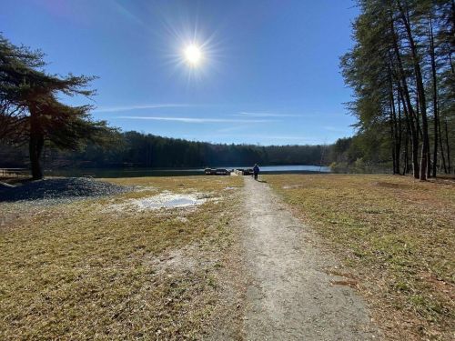 A sunny day by a lake, with a path leading to water and trees on either side. A person walks along the path.