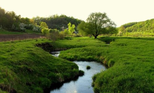 A serene landscape featuring a winding stream, lush green fields, and trees under a soft, glowing sky.