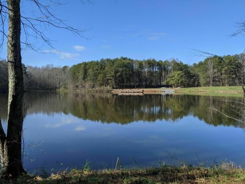 A serene lake surrounded by trees, reflecting the clear blue sky and a wooden dock in the distance.