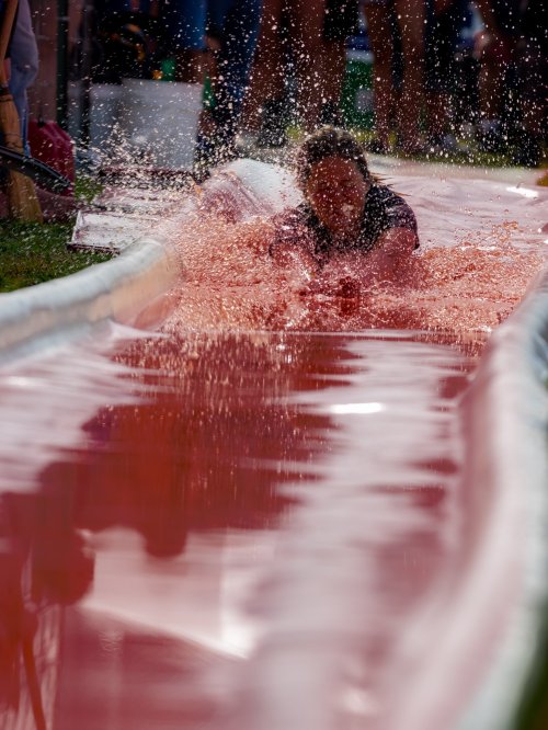 A person slides down a water slide, creating splashes in a pool of pink water at an outdoor event.