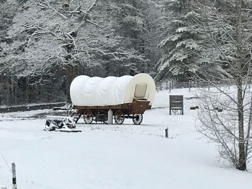 A covered wagon sits in a snowy landscape, surrounded by trees and a sign in the background. Snowflakes are falling.