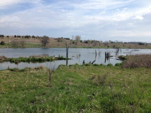 A serene landscape featuring a calm lake surrounded by grassy areas and scattered trees under a cloudy sky.