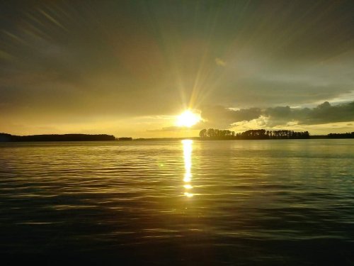 A serene sunset over calm waters, with golden rays reflecting on the surface and silhouettes of trees in the distance.