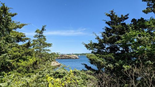 A serene view of a blue ocean framed by lush green trees under a clear blue sky.