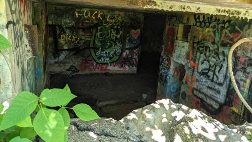 An abandoned building entrance covered in colorful graffiti and surrounded by overgrown plants.