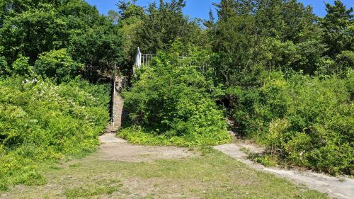 A path leads through lush greenery to a set of stairs ascending a hill under a clear blue sky.