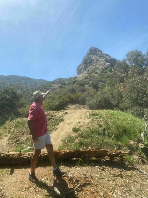 A person in a pink shirt points towards a rocky peak on a sunny hiking trail surrounded by greenery.