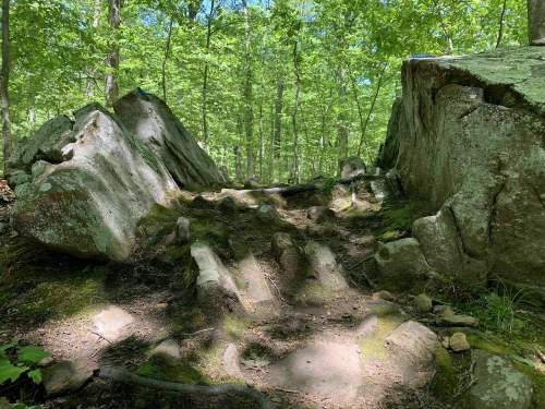 A rocky path leads through a lush green forest, with large boulders and moss-covered ground.