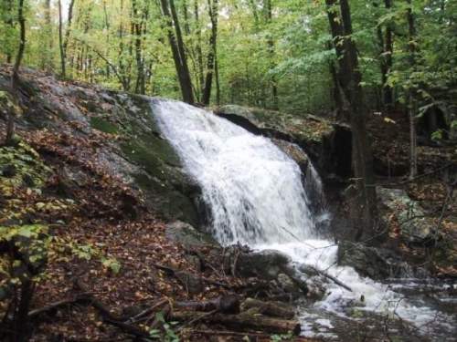 A small waterfall cascades over rocky terrain, surrounded by lush green trees and fallen leaves in a forest setting.
