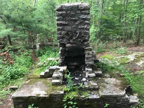 An old, crumbling stone chimney surrounded by greenery in a forested area.