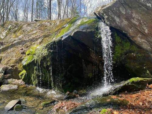 A small waterfall cascades over a moss-covered rock, surrounded by trees and fallen leaves in a serene forest setting.