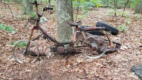 An old, rusty bicycle leaning against a tree in a forest, surrounded by fallen leaves and a discarded tire.