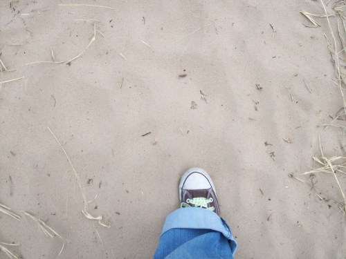A close-up of a foot in a sneaker stepping on sandy ground with scattered grass and twigs.