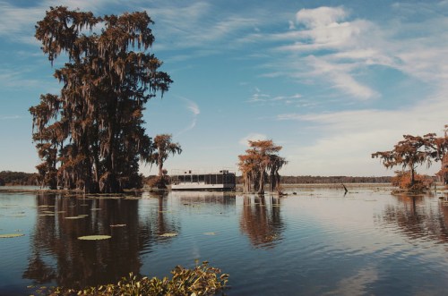A serene lake scene with cypress trees, lily pads, and a distant building under a blue sky with wispy clouds.
