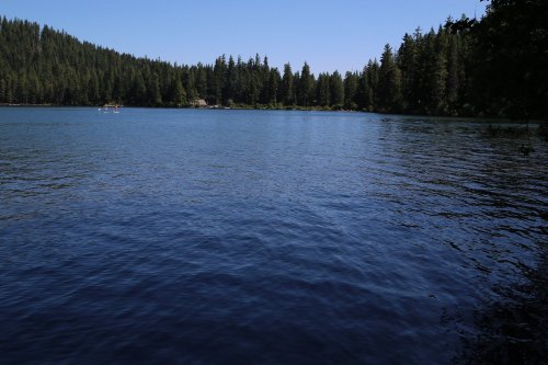 A serene lake surrounded by lush green trees under a clear blue sky. Gentle ripples on the water's surface.