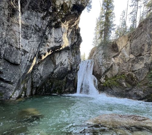 A serene waterfall cascades into a clear pool, surrounded by rocky cliffs and tall trees in a tranquil natural setting.