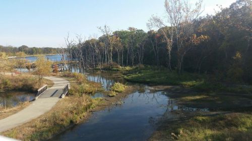A serene landscape featuring a winding path, water, and trees with autumn foliage under a clear blue sky.