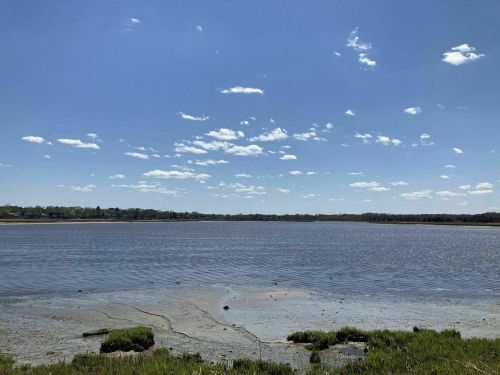 A serene lake under a clear blue sky with scattered clouds, surrounded by green grass and distant trees.