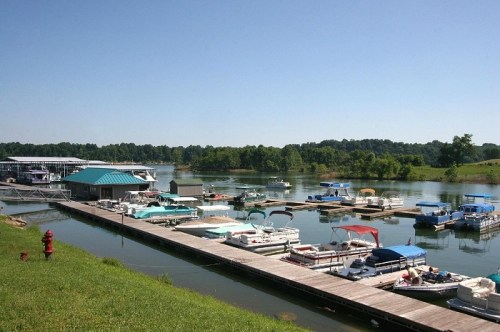 A serene marina with multiple boats docked along a wooden pier, surrounded by lush greenery and clear blue skies.