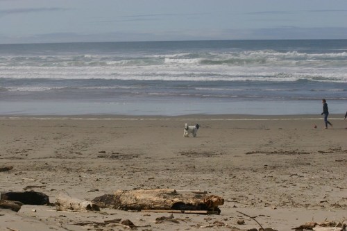 A person walks a dog on a sandy beach with waves crashing in the background under a cloudy sky.