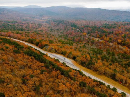 Aerial view of a winding road through a forest with vibrant autumn foliage in shades of orange and green.