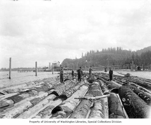 Black and white photo of men walking on logs in water, with a forested shoreline and pier in the background.