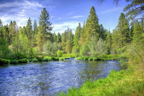 A serene river flows through a lush green landscape, surrounded by tall trees and vibrant foliage under a clear blue sky.