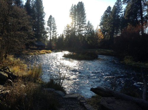 A serene river flows through a forest, reflecting sunlight, with trees lining the banks and a peaceful atmosphere.