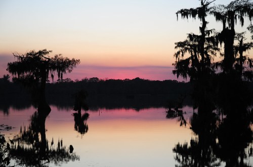 Silhouetted trees reflect in calm water at sunset, with hues of pink and purple in the sky.