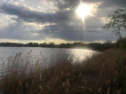 A serene lakeside scene with tall grasses, cloudy skies, and sunlight breaking through the clouds.